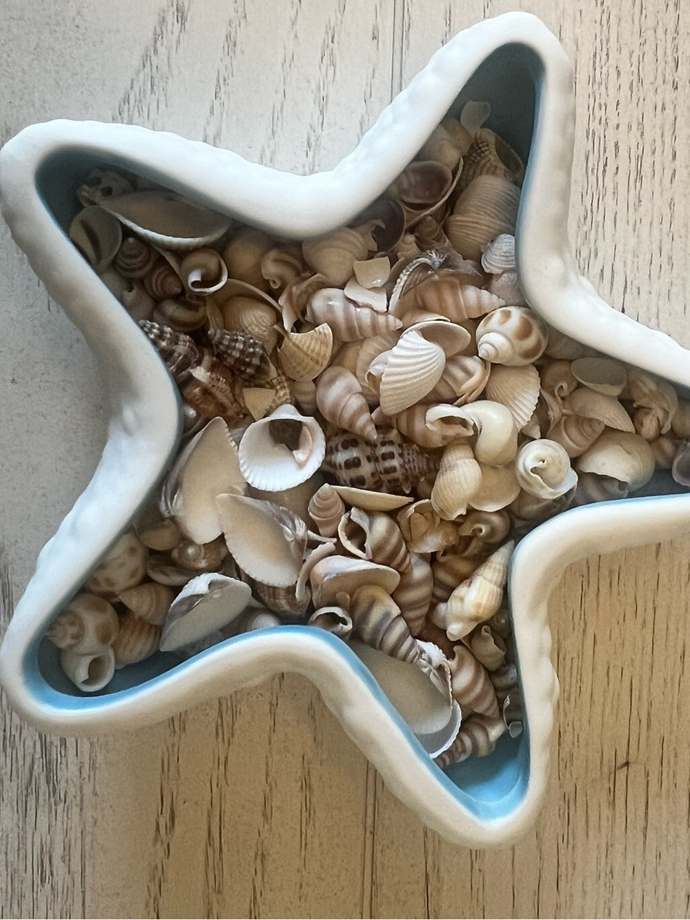 Starfish Ceramic Dish with Seashells